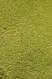 Green grass texture macro detail