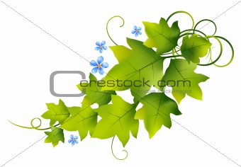 flowers and leaves