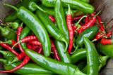 Red and Green Chili Peppers