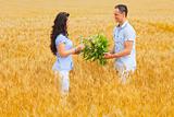 Young couple on wheat field