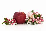 Red Apple and Flower Blossom