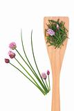 Chives Herb with Flowers