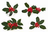 Holly Leaf and Berry Sprigs