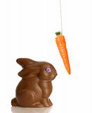 chocolate bunny with carrot on string