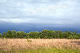 Tallgrass prairie remnant and dramatic sky in spring
