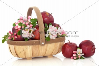 Apples and Flower Blossom