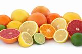 Citrus Fruit Selection