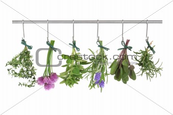 Herbs Hanging and Drying