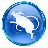 Rat Zodiac icon blue, isolated on white background.