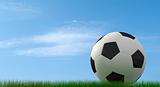 classic soccer-ball on grass