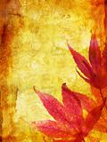 Beautiful autumn background with maple leaves
