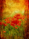 Beautiful vintage background with poppies
