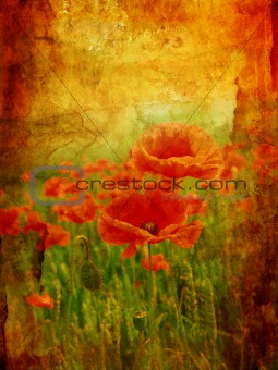 Beautiful vintage background with poppies