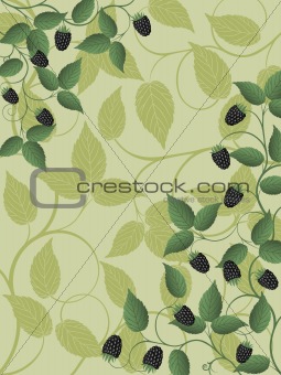 Floral background with a blackberry