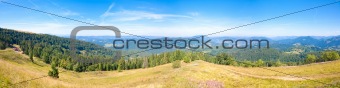 Summer mountain country panorama