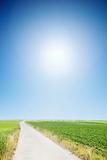country road with cloudless sunny sky 