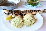 Roasted fish with potatoes 