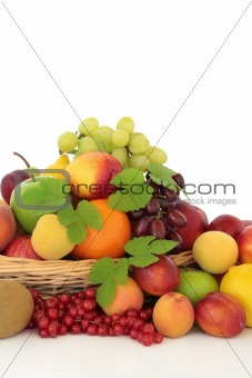 Tropical, Citrus and Berry Fruit
