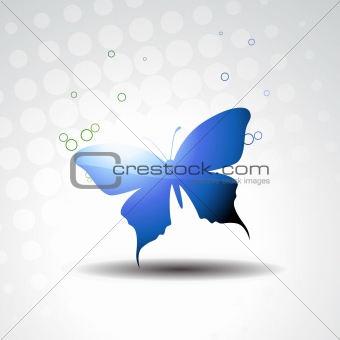 vector beautiful butterfly