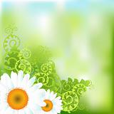 Floral Vector Background 