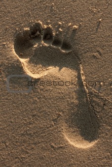 Foot Print in the Sand