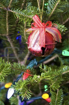 Christmas decorations on tree boughs