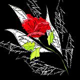 Original background with red rose