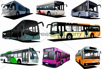 Eight city buses. Coach. Vector illustration