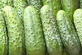 A lot of green cucumbers