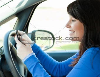 Brunette young woman writing a message sitting in her car