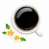Cup Of Coffee Vector Illustration With Frangipani