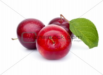 Three plums with leaf