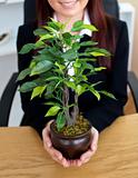 Close-up of a caucasian businesswoman holding a plant 