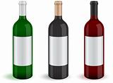 Vector illustration of three realistic wine bottles.