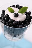 Blueberry dessert