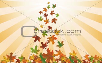 Gold Autumn Leaves Background . Vector