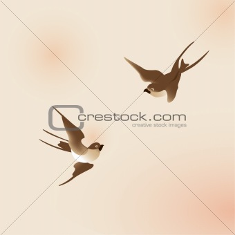 Chinese painting style swallows