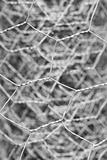 Wire Fence Material