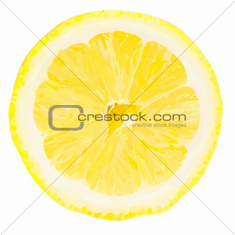 Vector lemon slice.