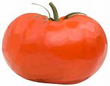 Vector tomato.