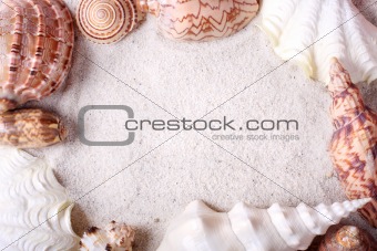 Seashells frame