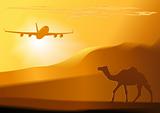 Vector desert,camel,jet.
