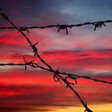 Barbed wire on blurred background