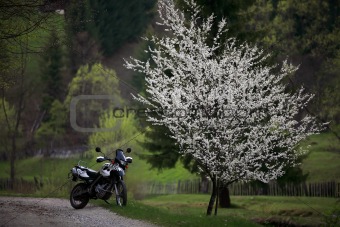 Spring motorcycle
