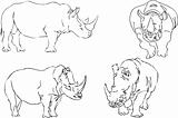 vector illustration sketch of rhino