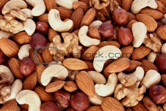 Assorted nuts (almonds, filberts, walnuts, cashews) close up