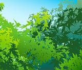 Colorful landscape of summer foliage - Vector illustration
