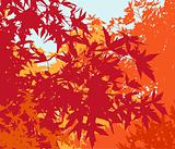 Colorful landscape of automn foliage - Vector illustration