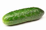 Green cucumber isolated