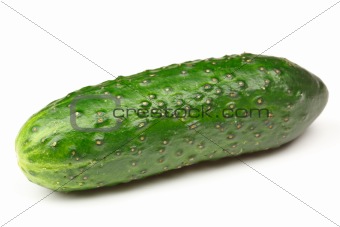 Green cucumber isolated